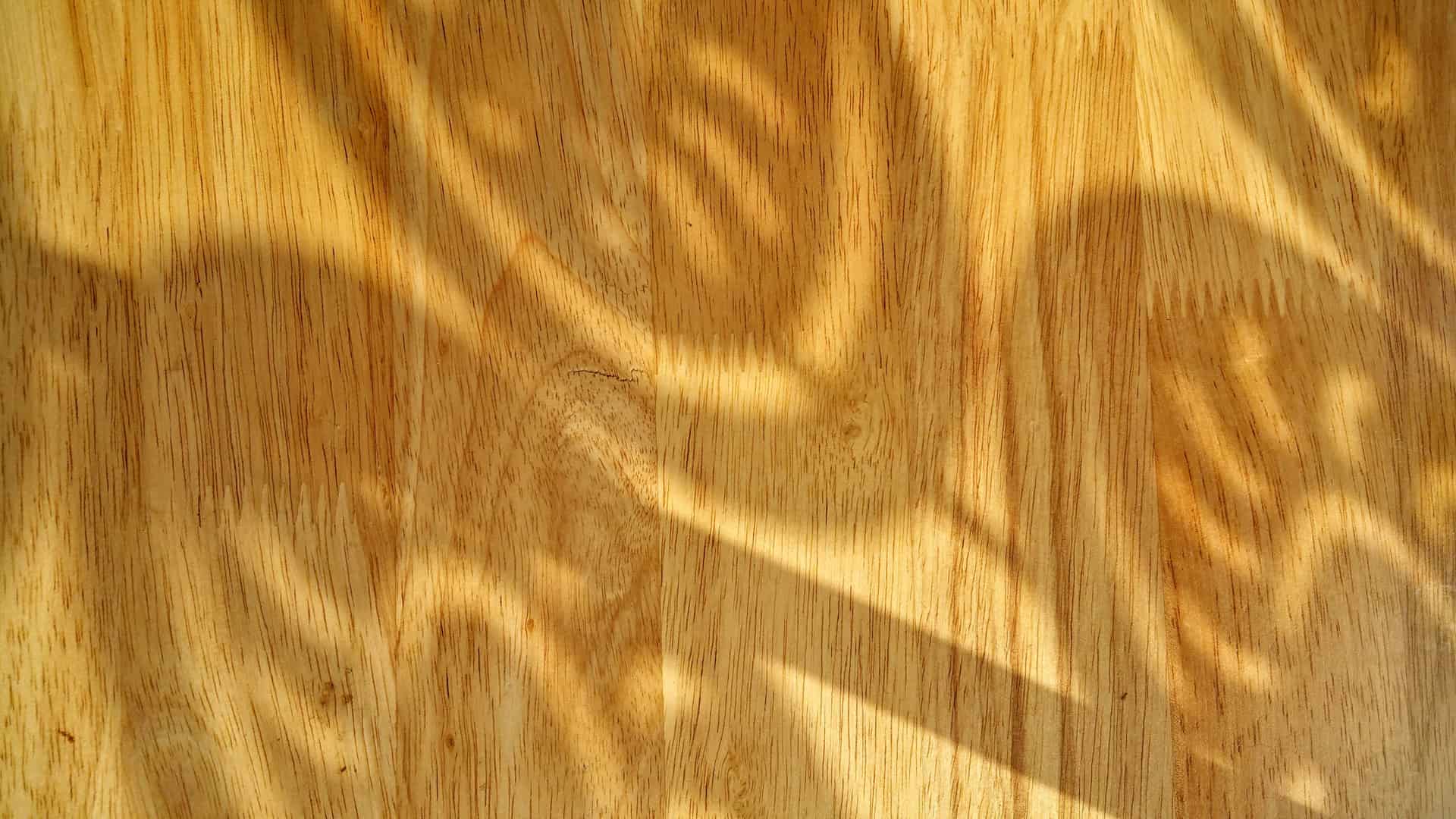 Sunlight across a wide-plank wooden floor
