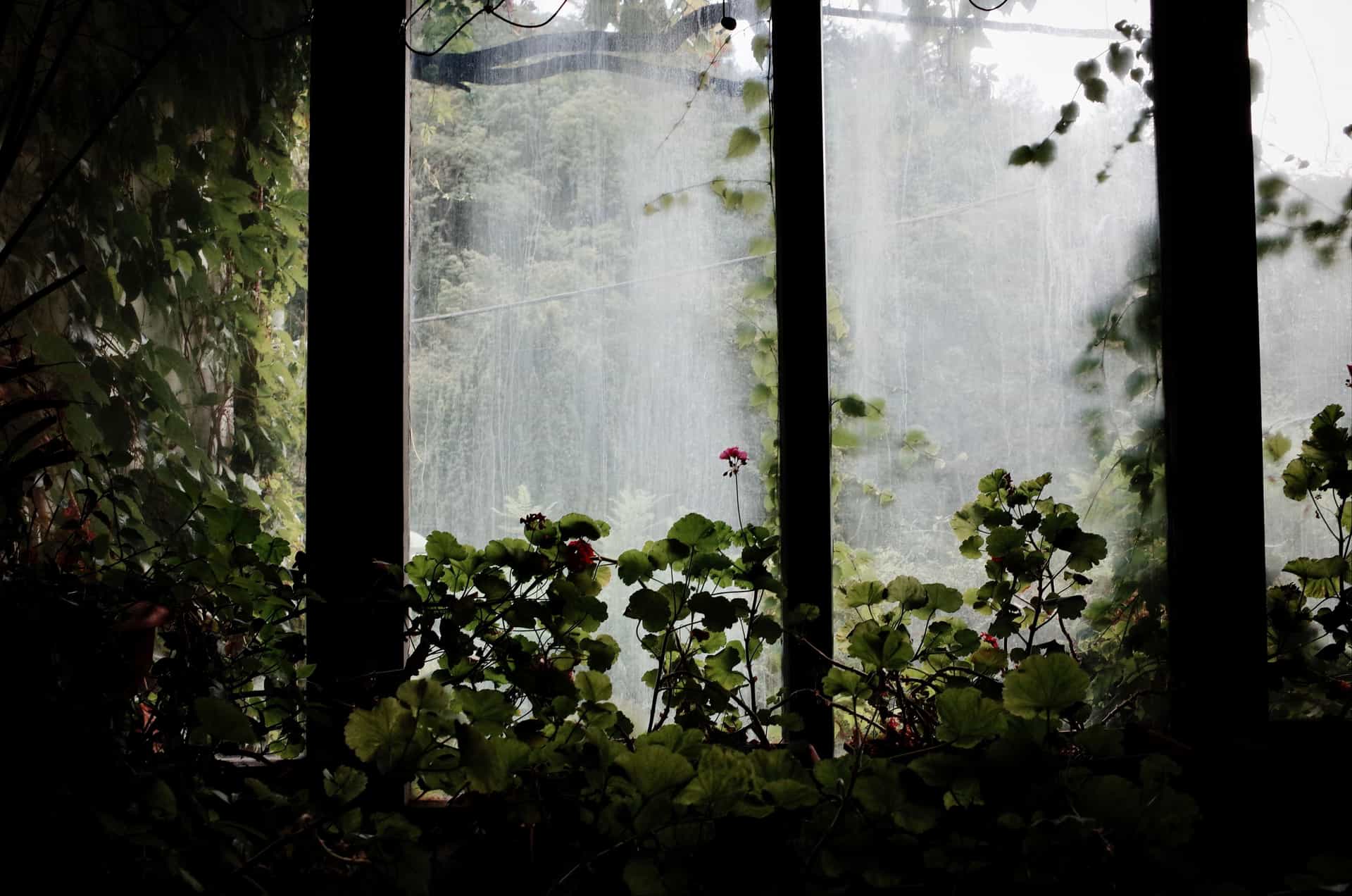Fine mist rising in front of a sunlit window