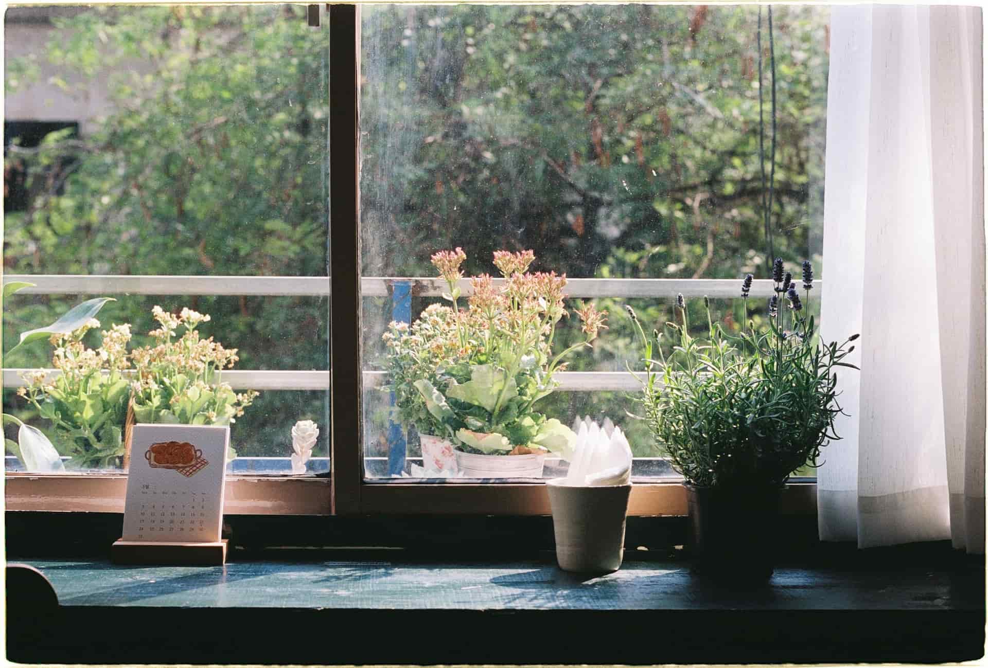 A wall calendar beside a window in winter light